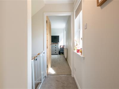 Picture 24